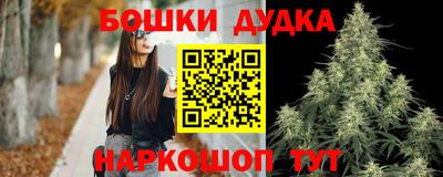 стафф Ставрополь